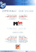 MIPS 2013 Москва.jpg